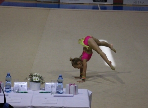 Pribinov pohár - Nitra 2017