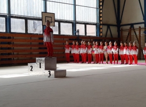 VI. oddielová súťaž